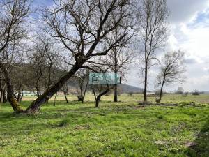 A lovely farmouse with a large fruit orchard surronded by nature for sale in Dövény, North-Hungary