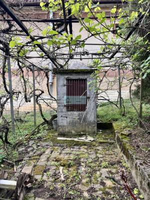 Sfeervol Landhuis met Boomgaard en Bijgebouwen in Hódoscsépány, Noord-Hongarije