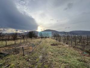 Two-Storey House in Good Condition and Studio Apartment with Garage on a 2,608 m² Plot for Sale in Arló, North Hungary