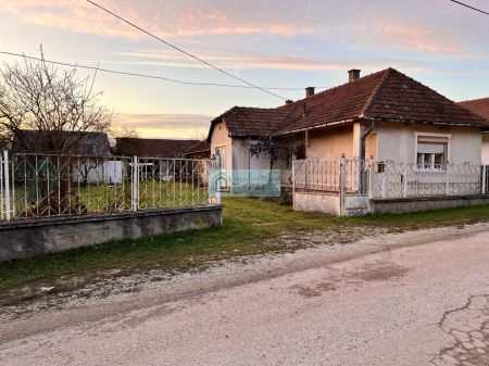 Rural tranquility with spacious grounds and orchard
